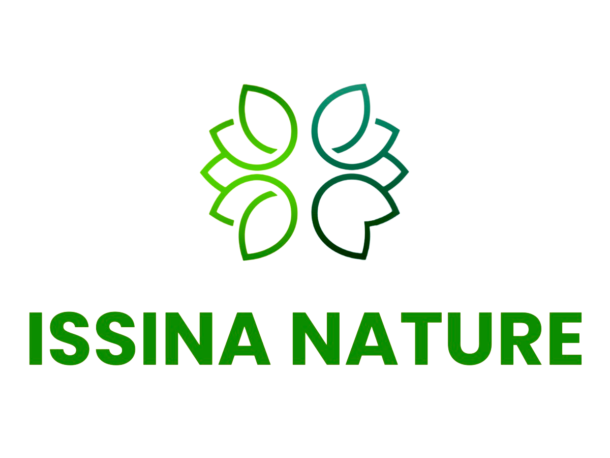 issinanature.com